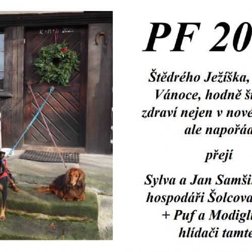 PF 2023