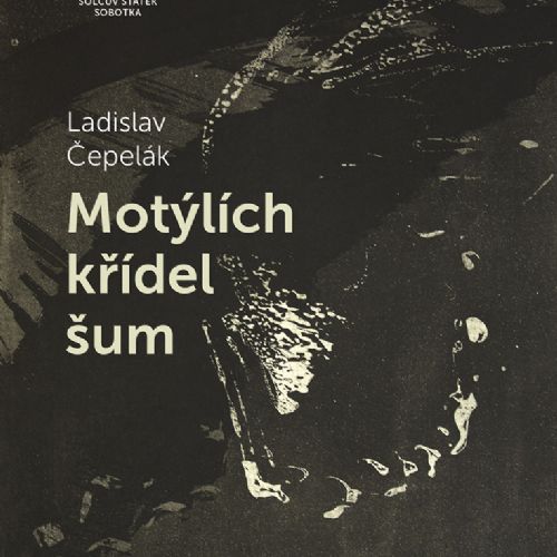 Vernisáž výstavy Ladislav Čepelák: Motýlích křídel šum