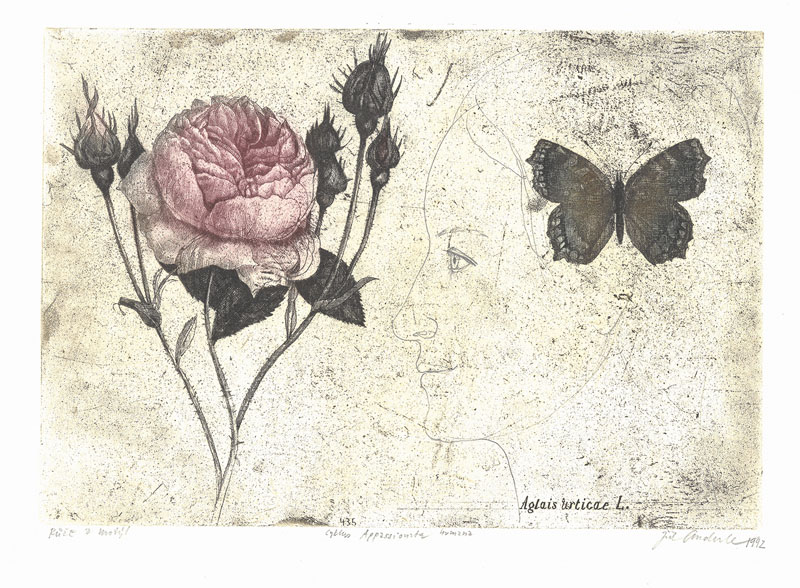 IMAGE: