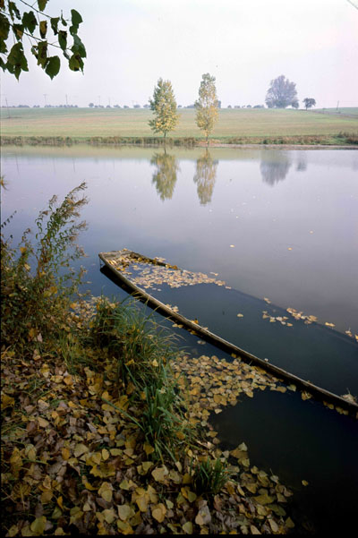 IMAGE: