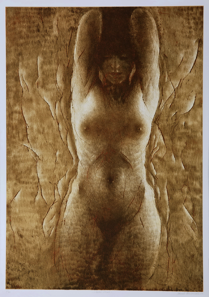 IMAGE: