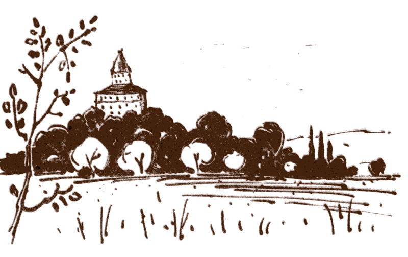 IMAGE: